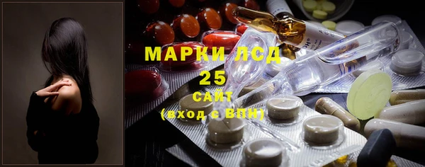 индика Зерноград