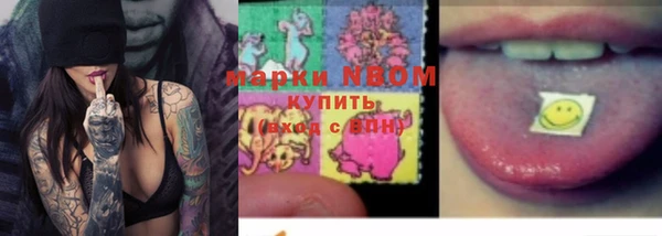 индика Зерноград
