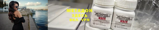 индика Сосновый Бор